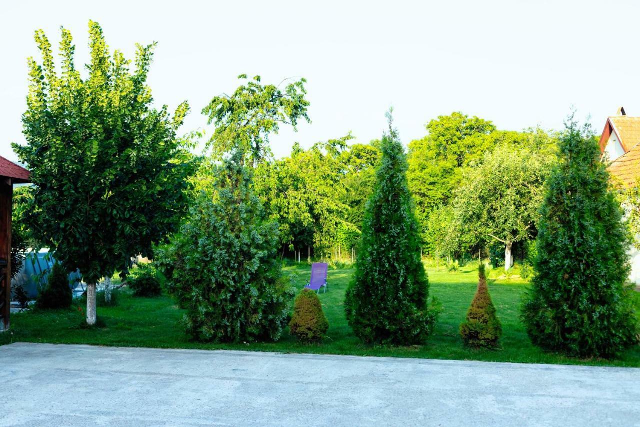Pensiunea Marmis Riu Barbat Экстерьер фото